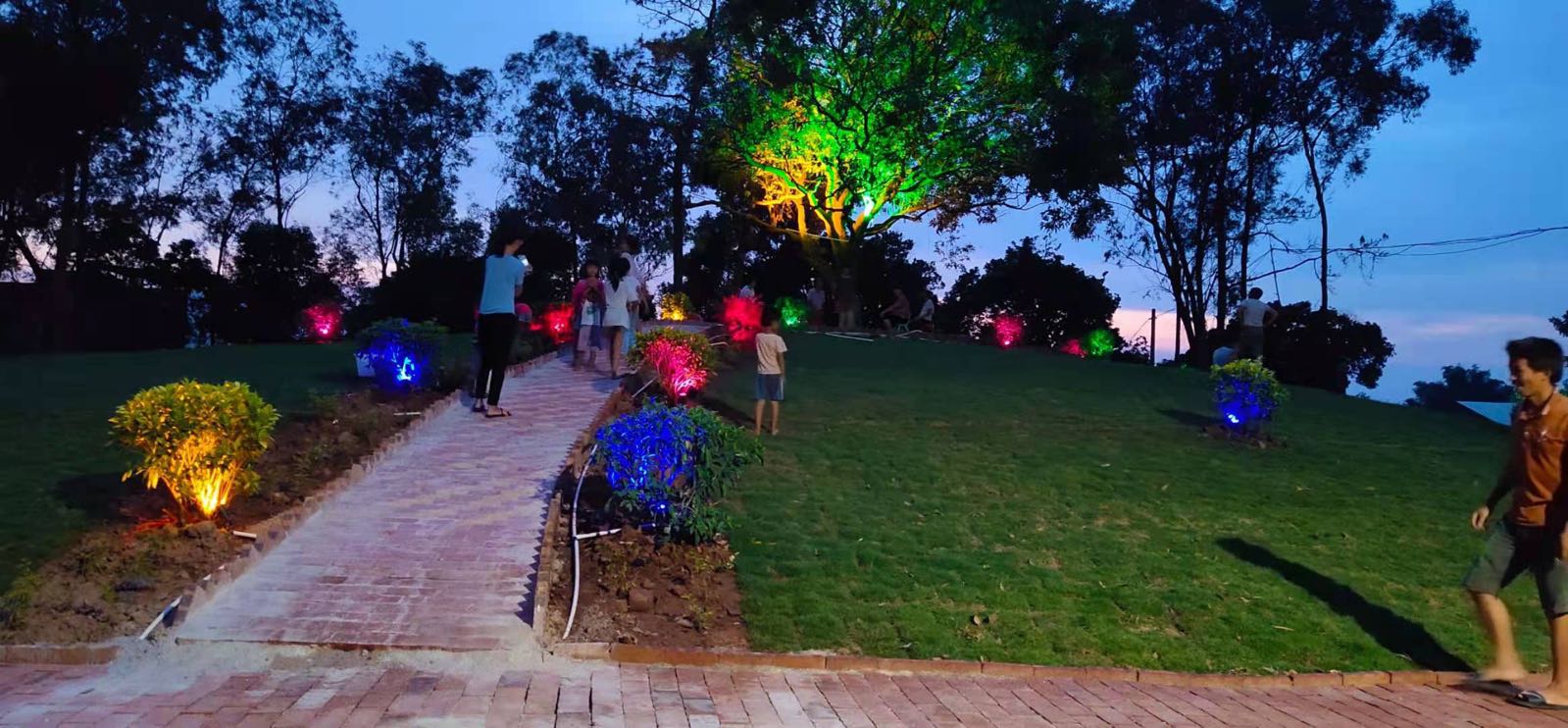 油柑冲后山公园