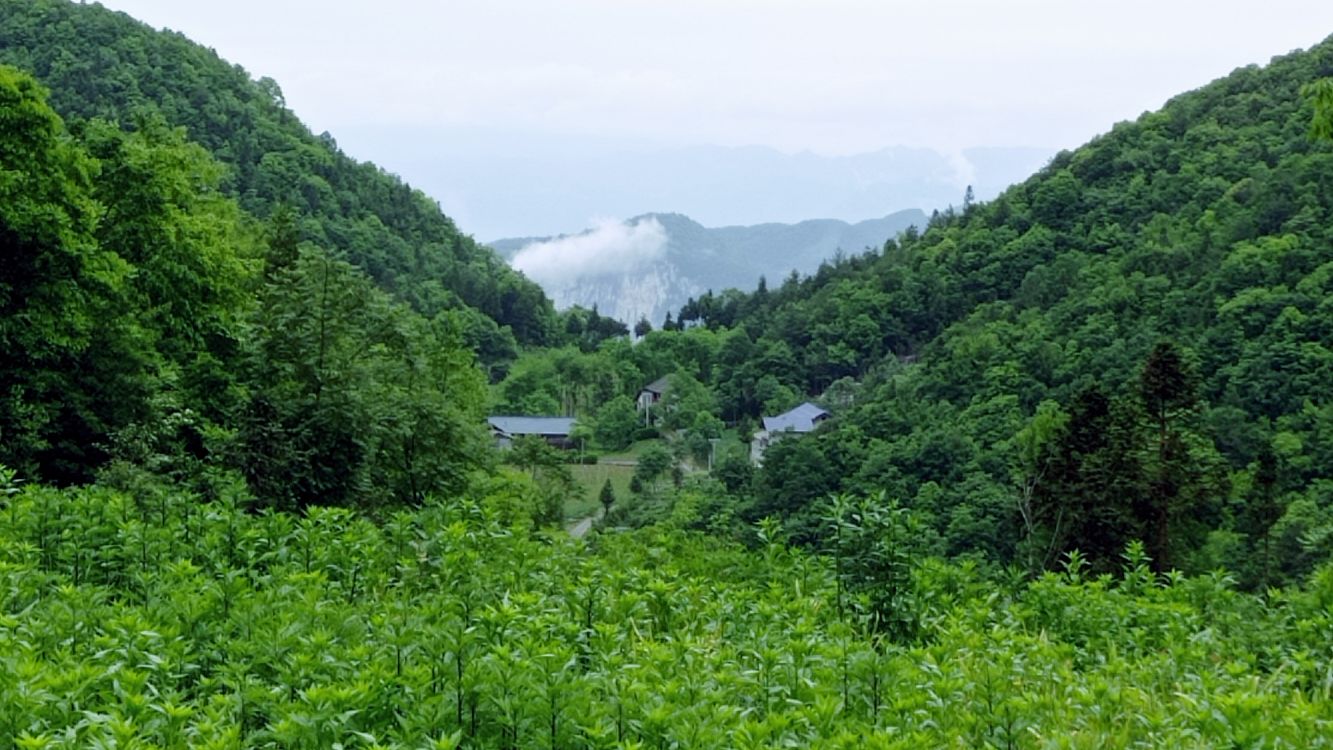 湖北省恩施土家族苗族自治州建始县花坪镇李家坪村五组12号