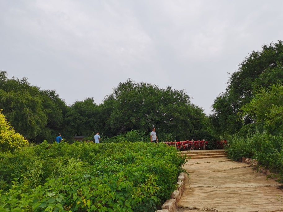 老榆树风景区