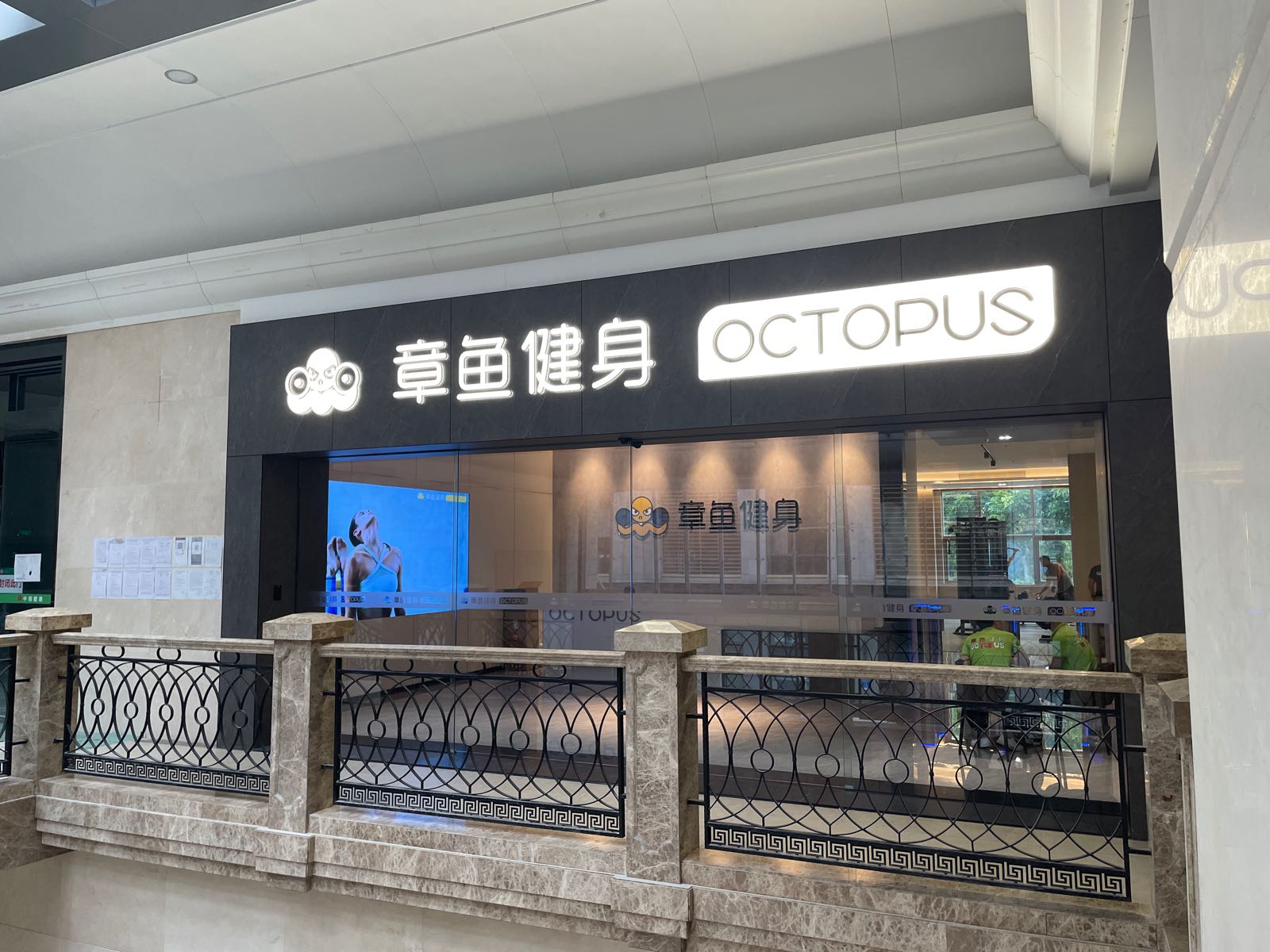 章鱼健身Octopus