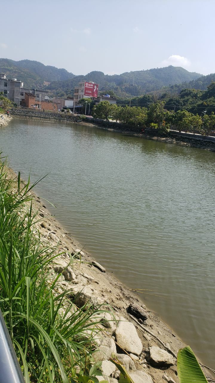 茂名市高州市二八零省道