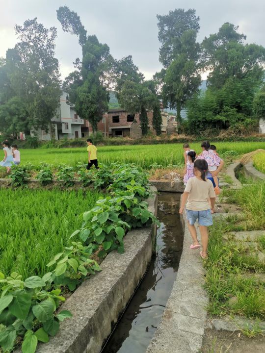 广西壮族自治区桂林市全州县永岁镇暮霞村委辖区