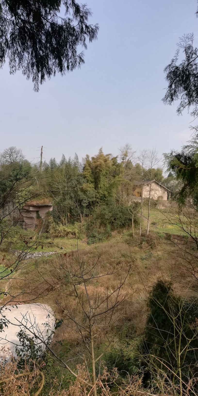 画卦寺