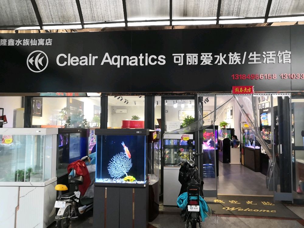 隆星水族-可丽爱专卖店