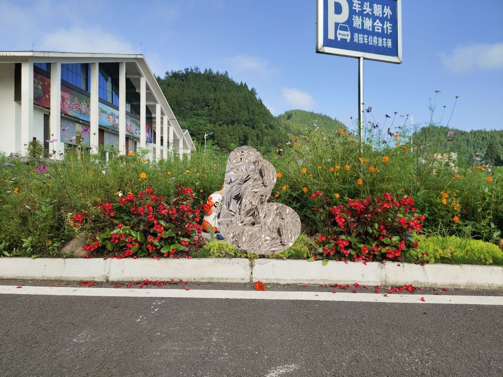 四川省仪陇县g245新政公路服务区-停车场
