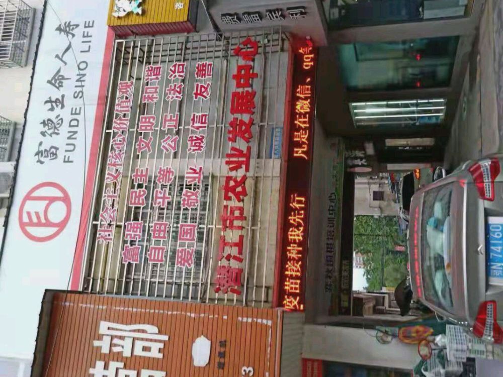 潜江维基丹朱棋院(全国加盟品牌总店)