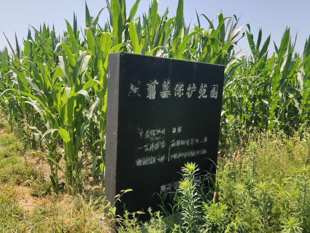 王翦墓