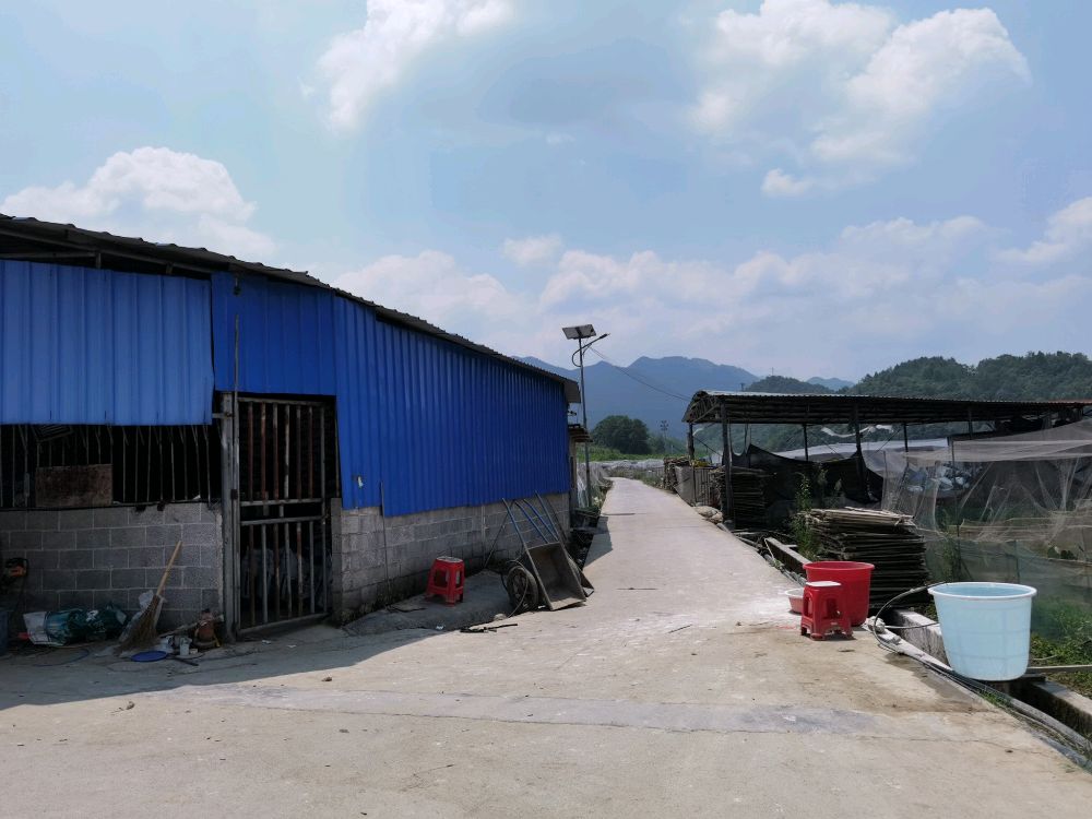 重庆山水青蛙养殖有限工司