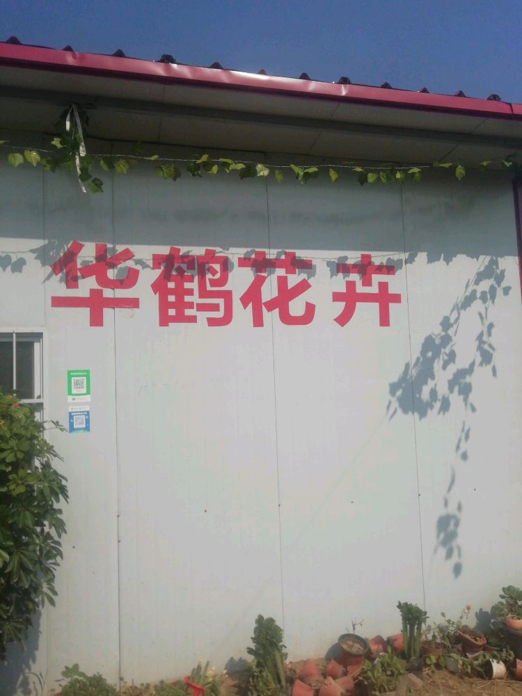 太康县东环花卉种植农场