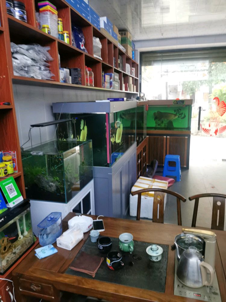 美红水族馆(凤凰城店)