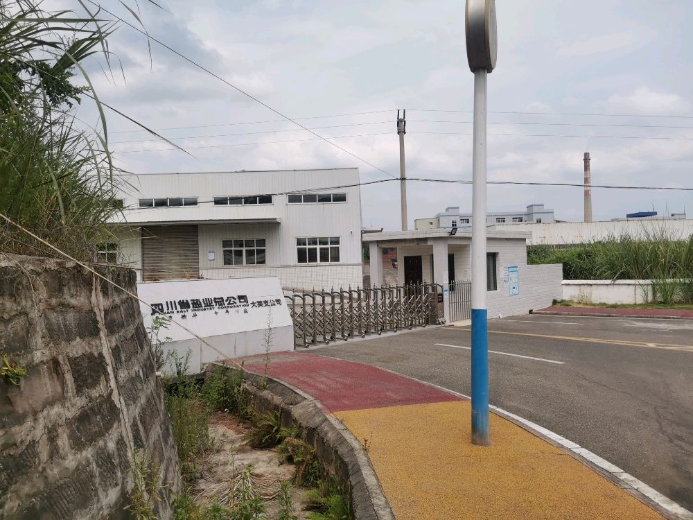 四川省盐业总公司大英支公司