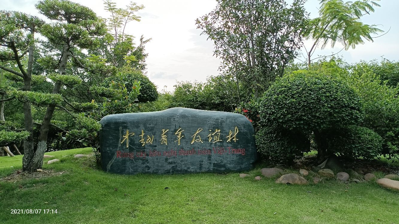 中越青年友谊林