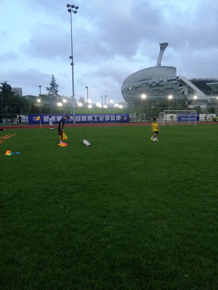 舒莱狮大自然青工足球基地