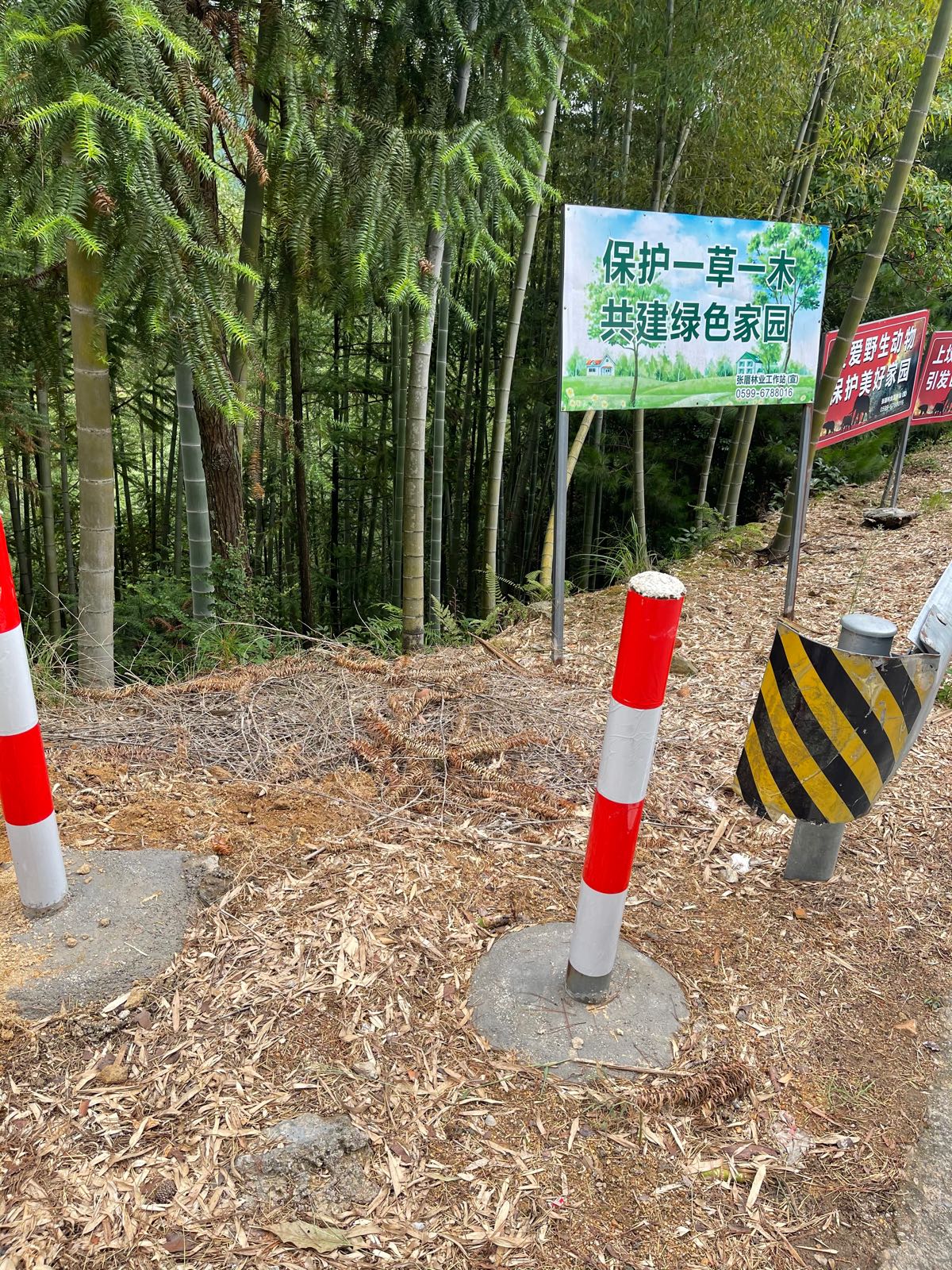 福建省安全窠生态园园