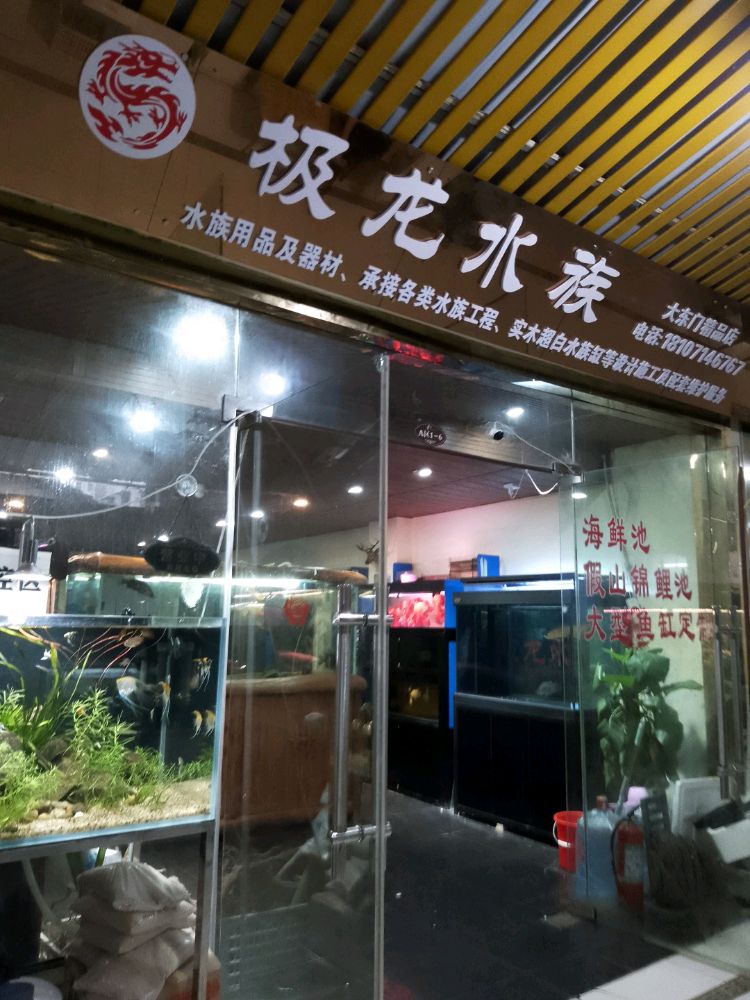 极龙水族