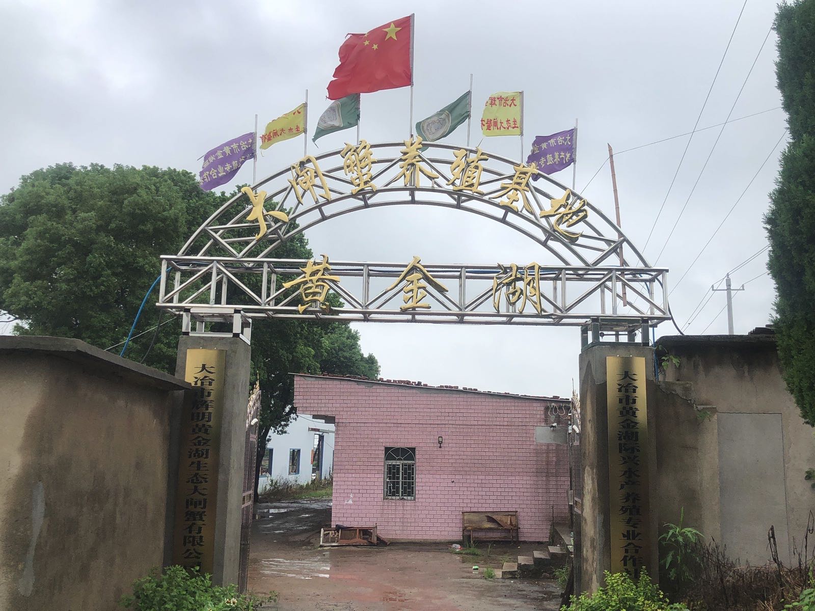 黄金湖生态大闸蟹养殖基地