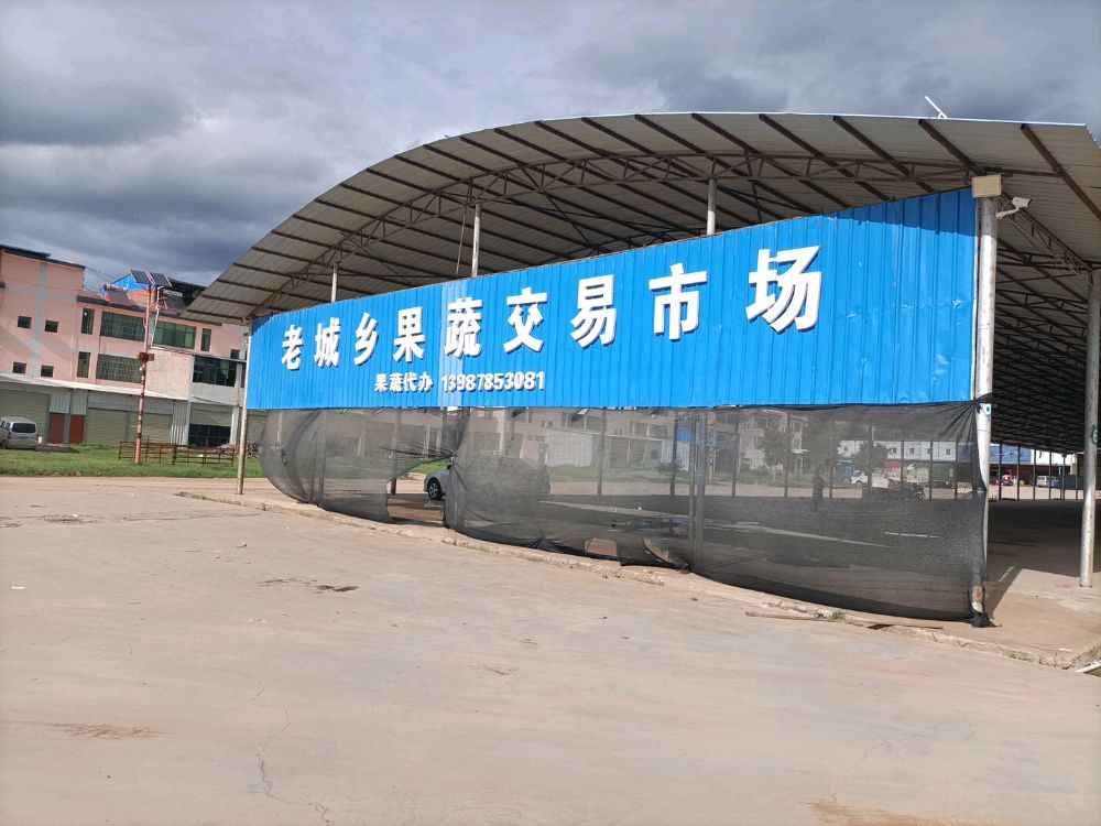 康氏公司果蔬交易市场