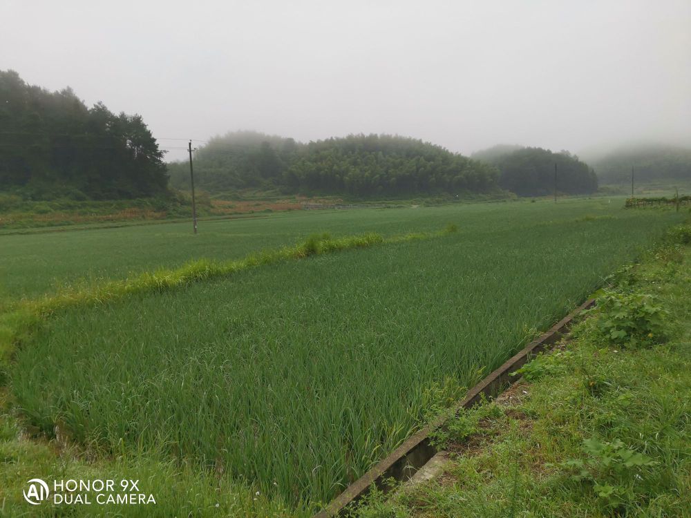 邵阳市隆回县