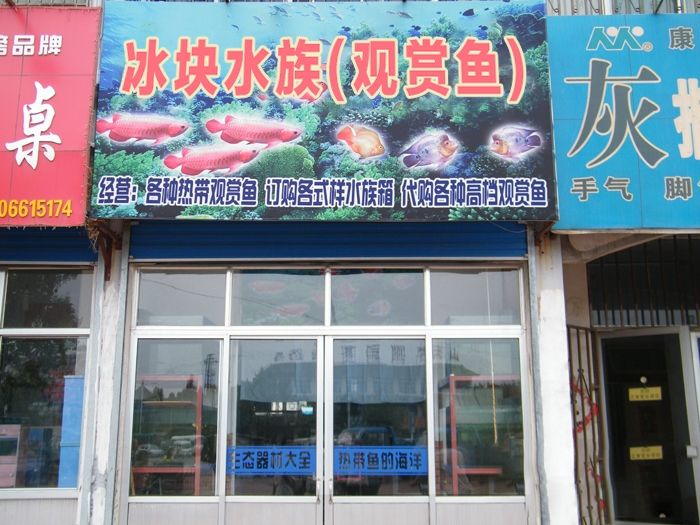 冰块水族观赏金店(观赏鱼)