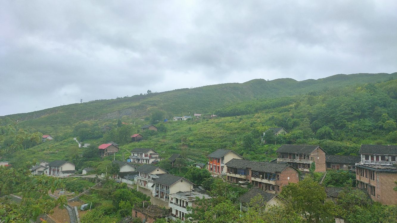 羊牯岭碉楼餐馆