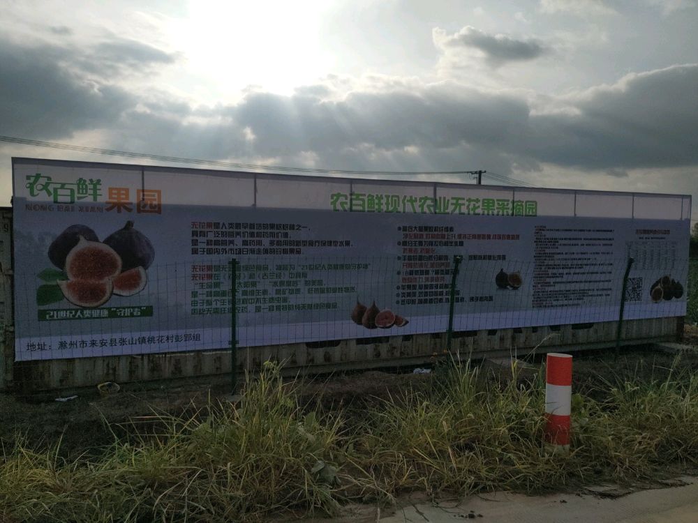 农白鲜果园