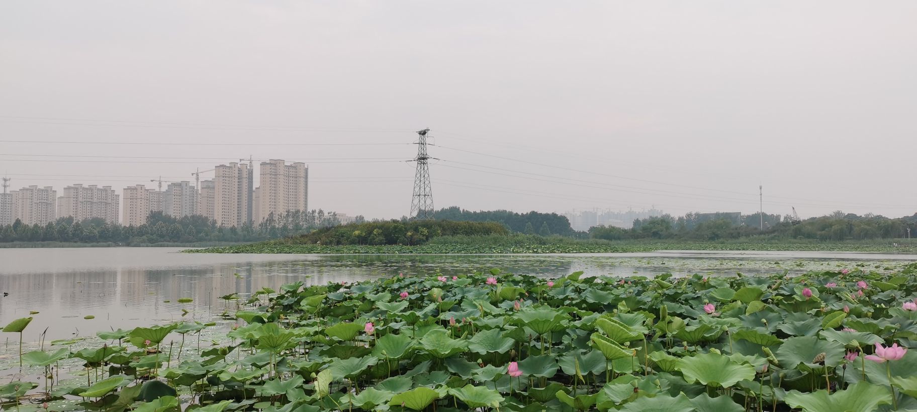 大明森林生态园