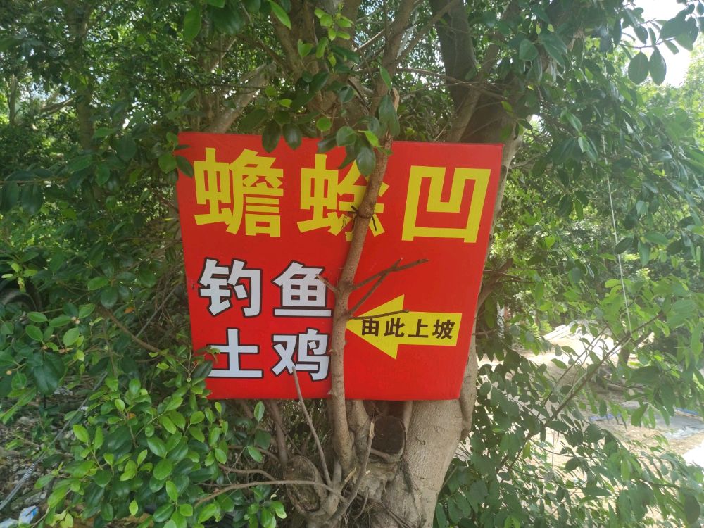 蟾蜍凹钓场