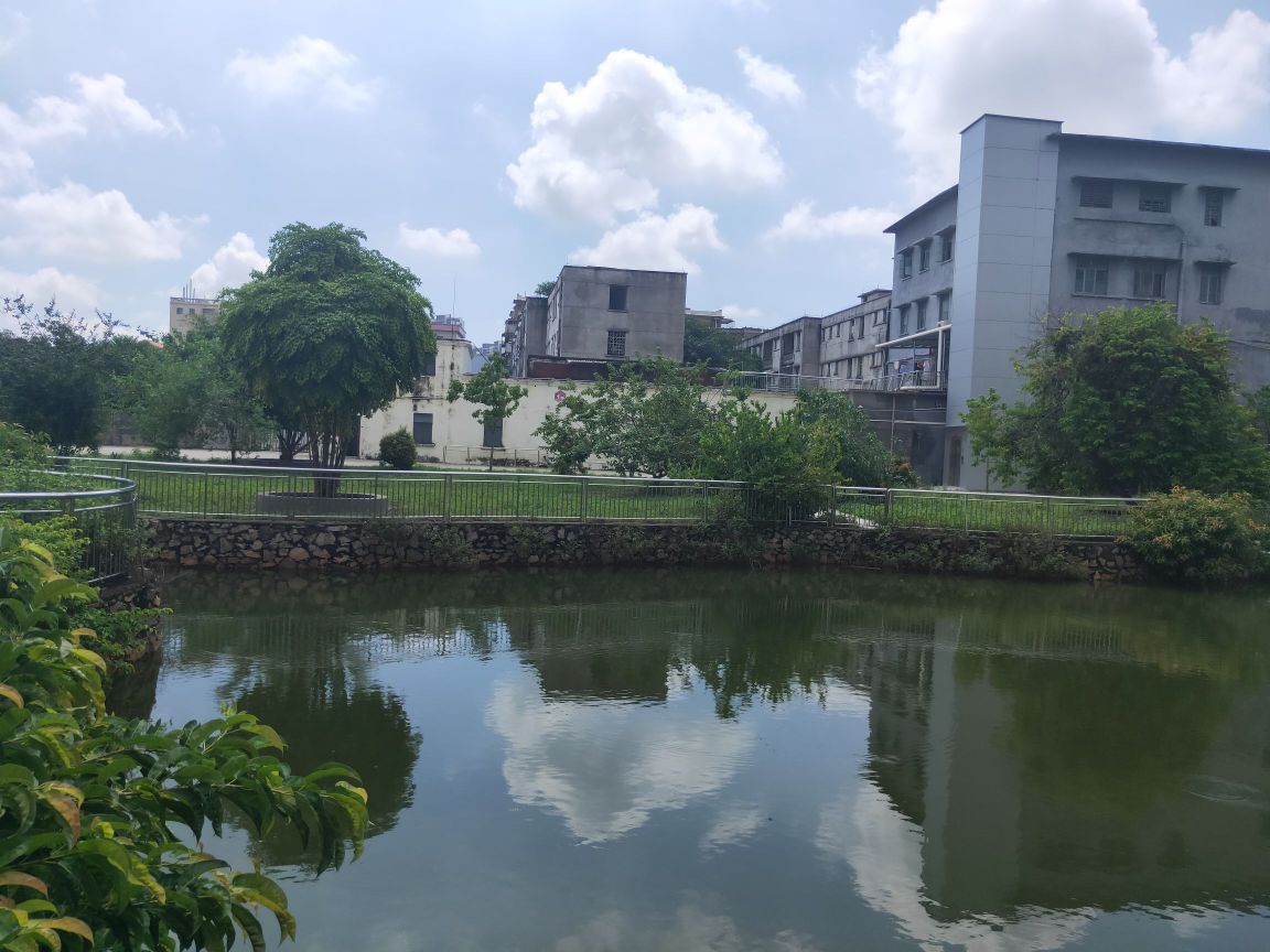 银龄禅居