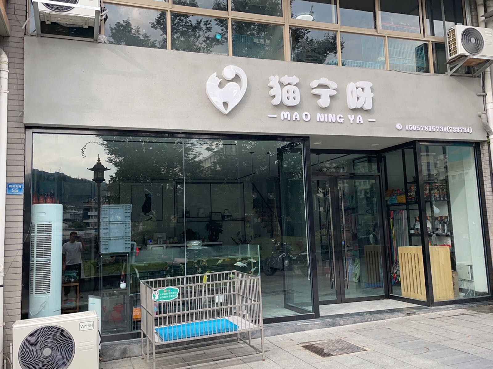 景宁猫宁宠物店