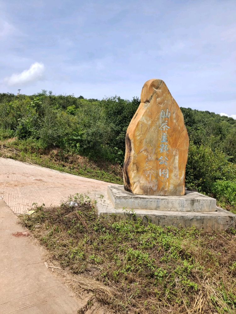 油茶主题公园