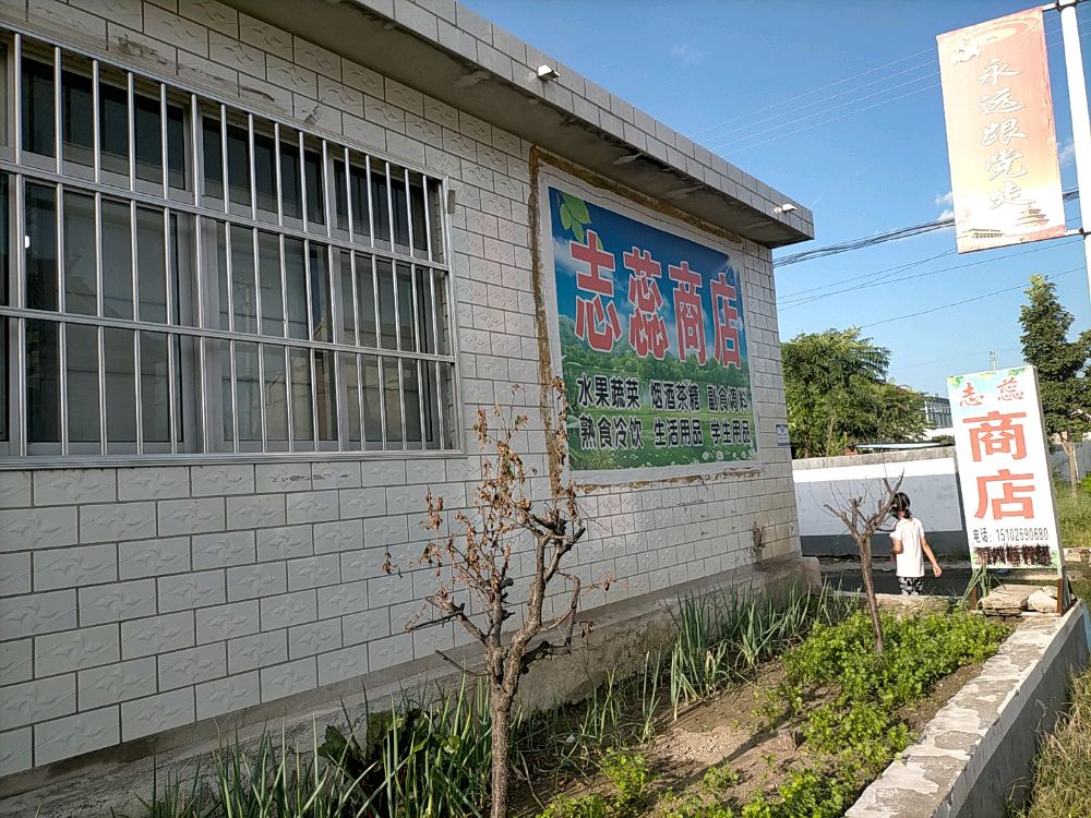 大崔庄镇上金山院村志蕊商店