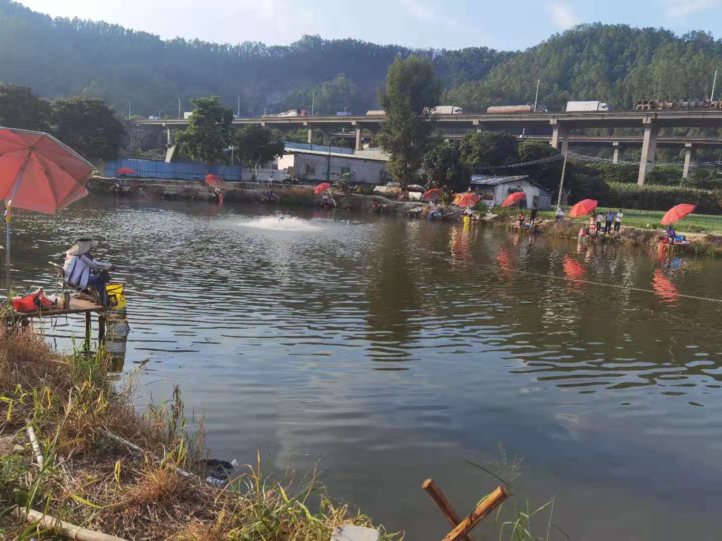 田园钓场