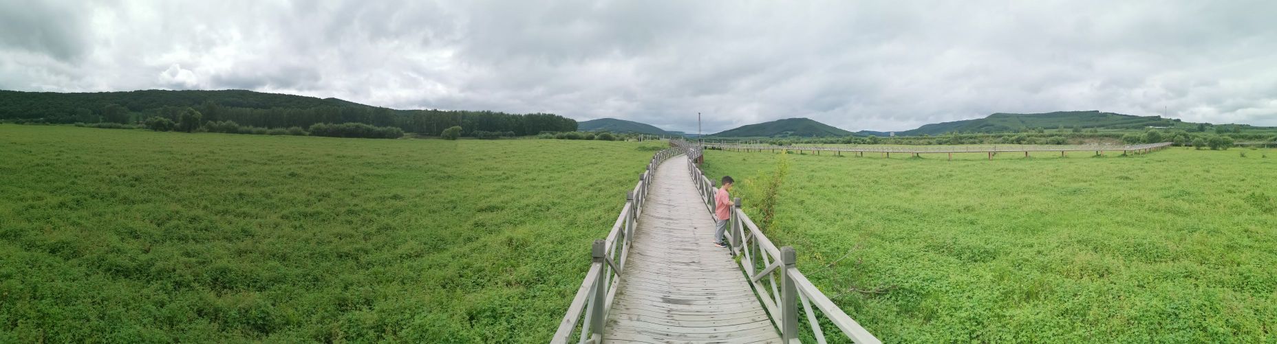 雁鸣湖湿地溪区