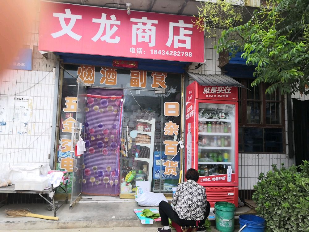 陈闫村文龙商店