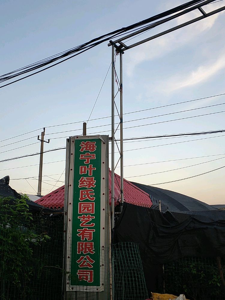 海宁花卉园艺批发市场