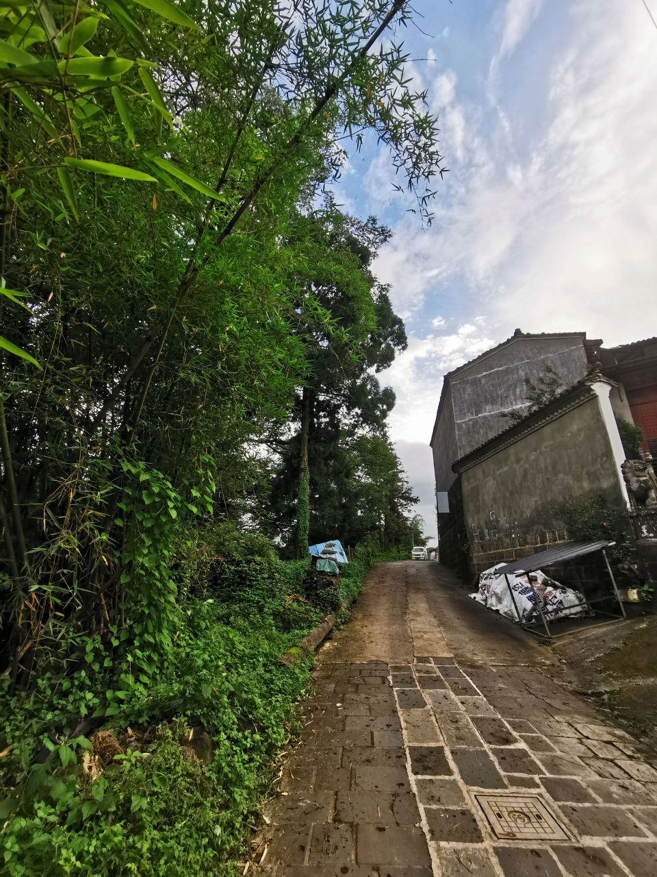打苴观音市