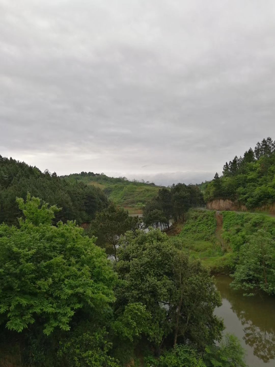 湖南省邵阳市双清区高崇山镇短陂桥村1组