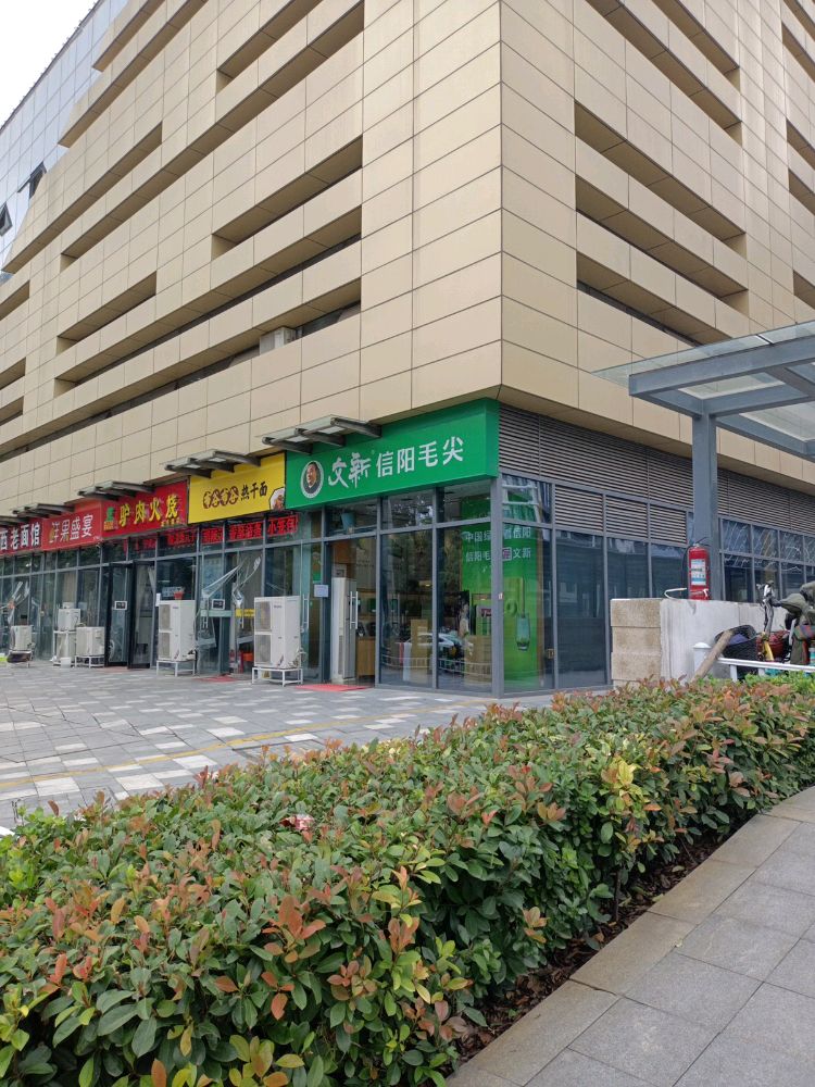 文新信阳毛尖(龙子湖店)