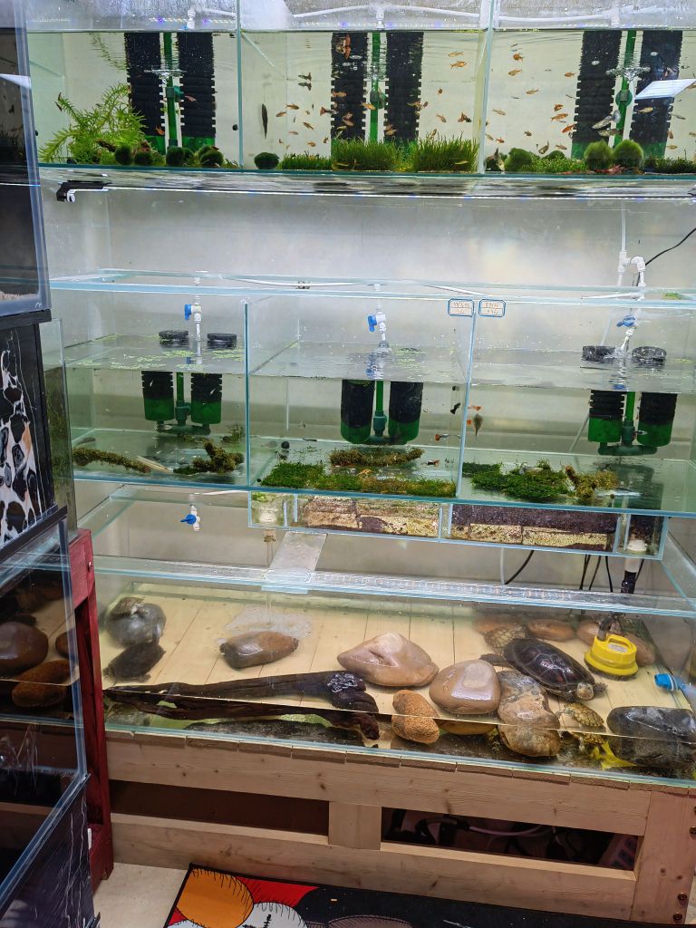 植素源景观水族馆(集美平阳里小区店)