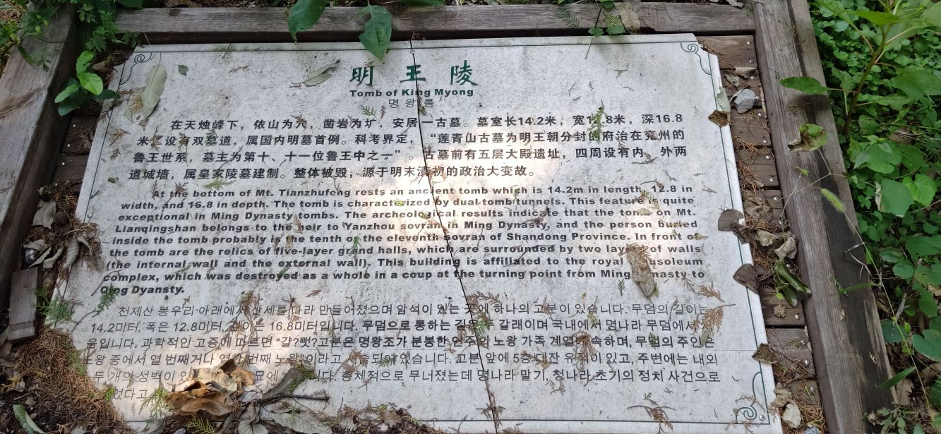 明王潮影