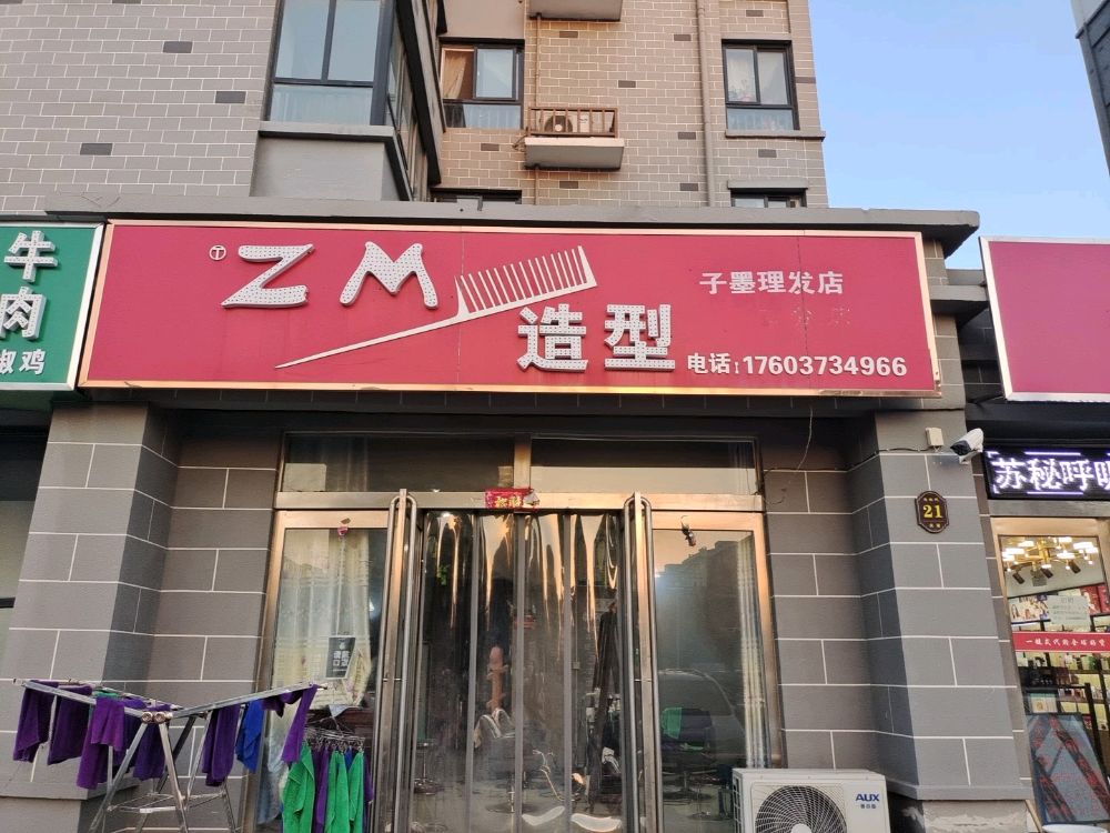 ZM造型