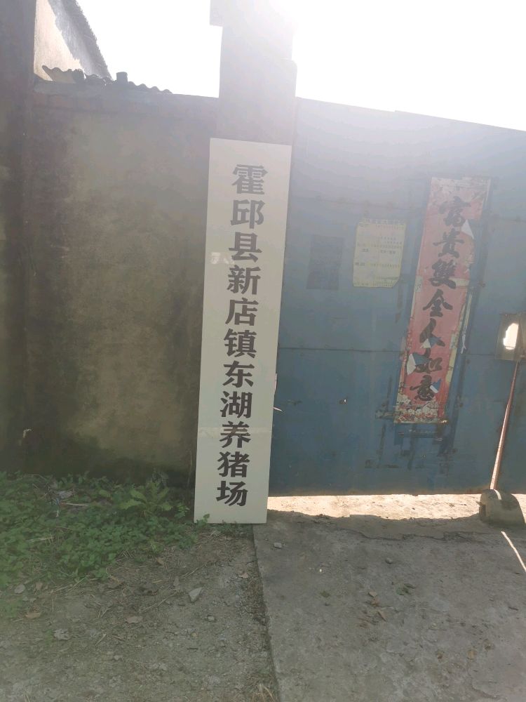 霍邱县新店镇东湖养猪场