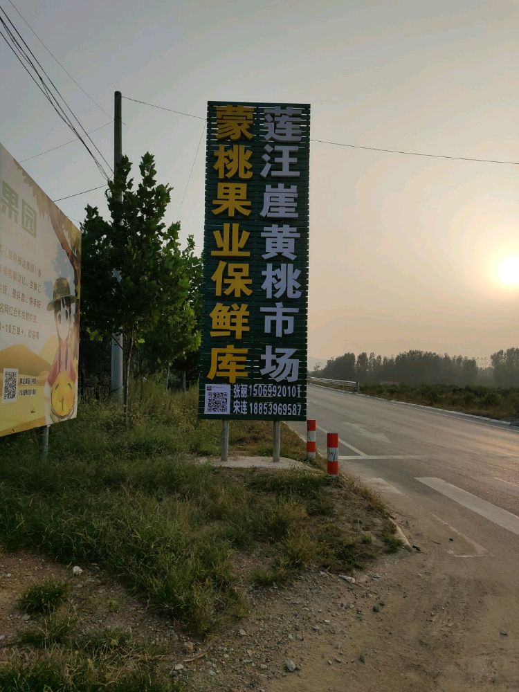 莲汪崖村黄桃交易市场