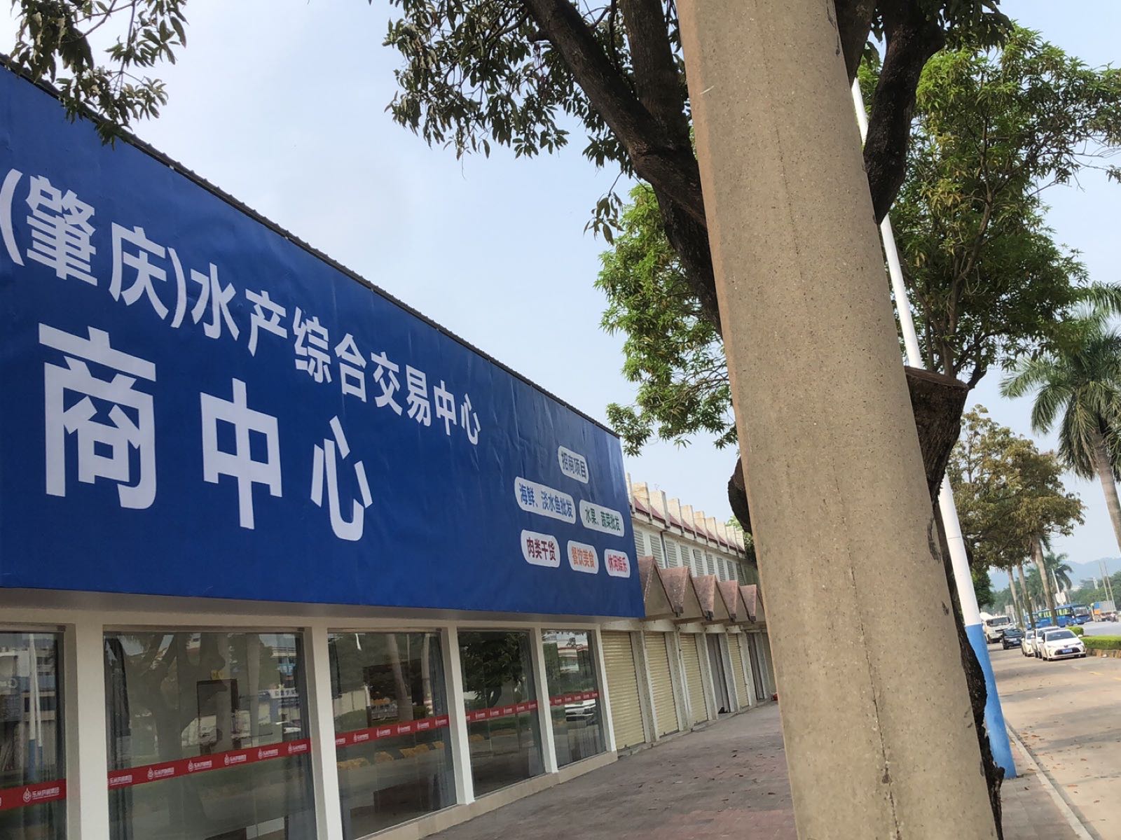 肇庆水产综和市场