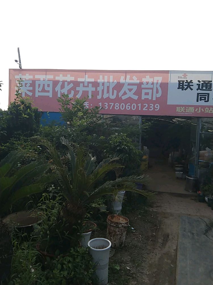 莱西花卉批发部