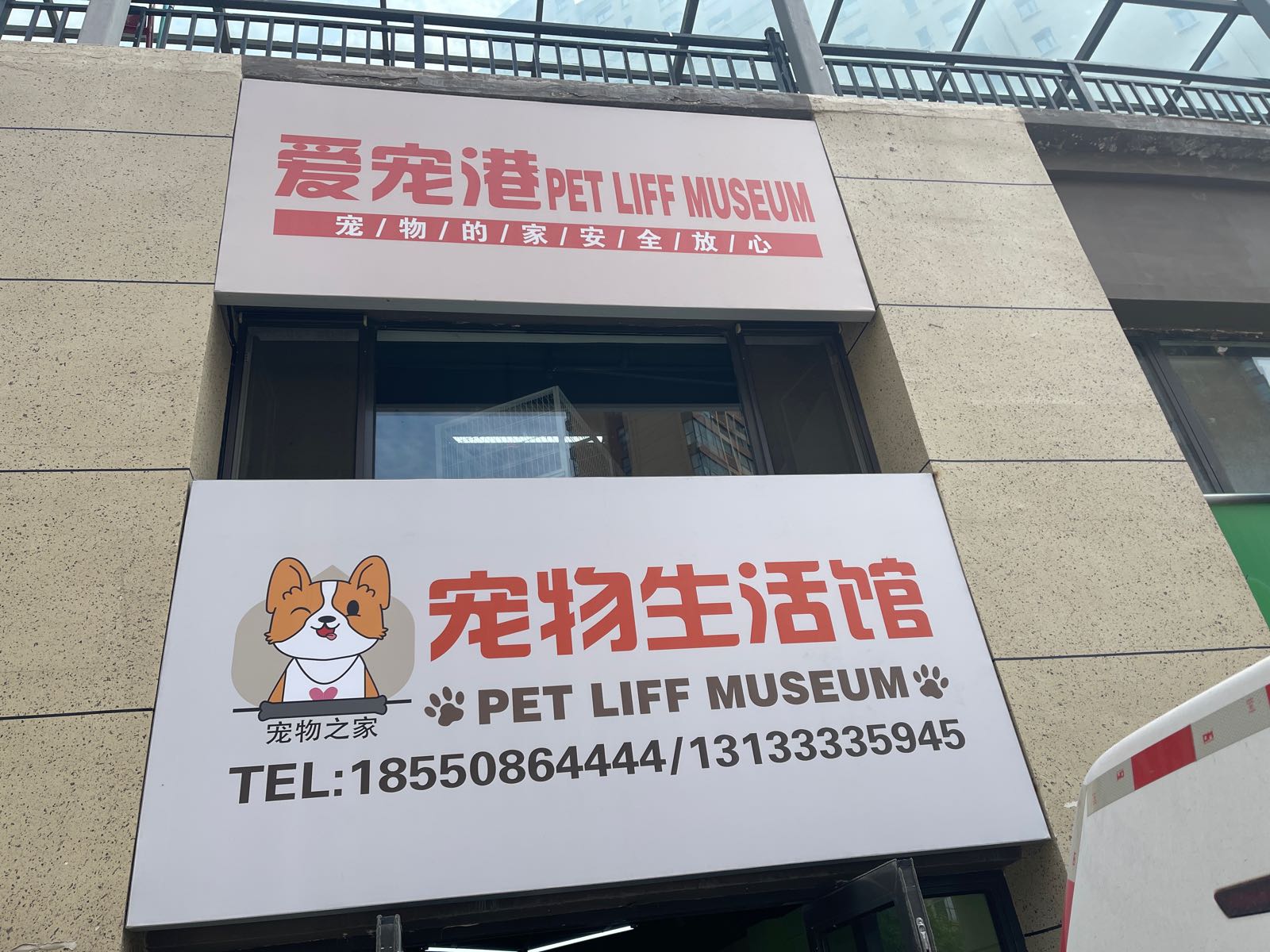 爱宠港宠物生活馆