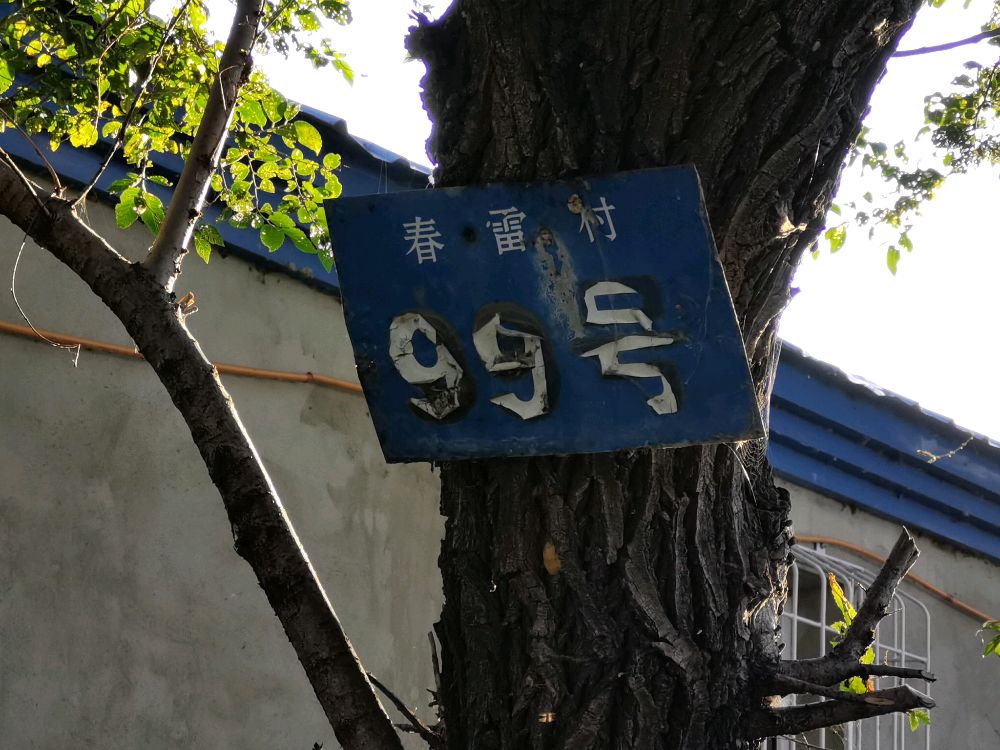 春雷村孟家大院