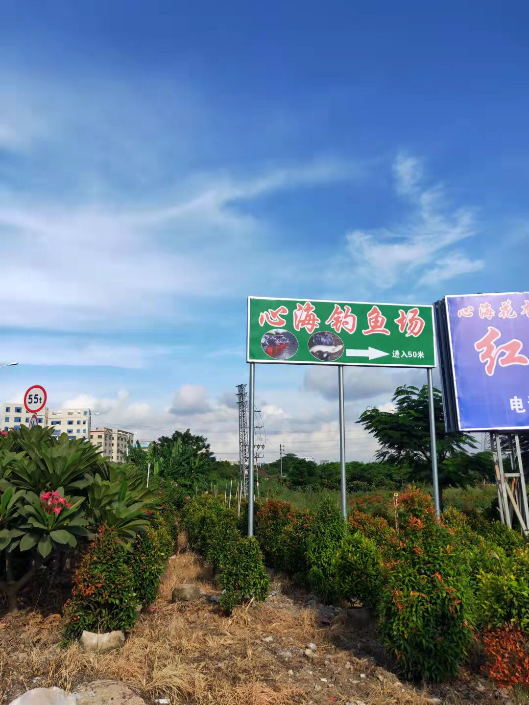 心海钓鱼场