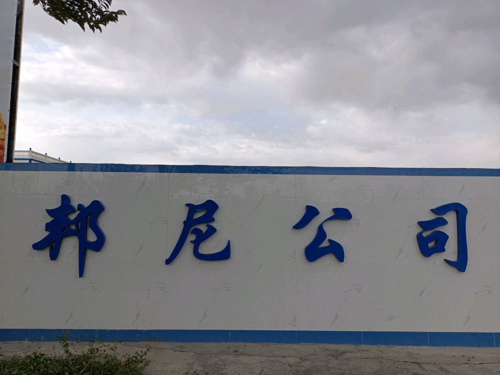 邦尼公司