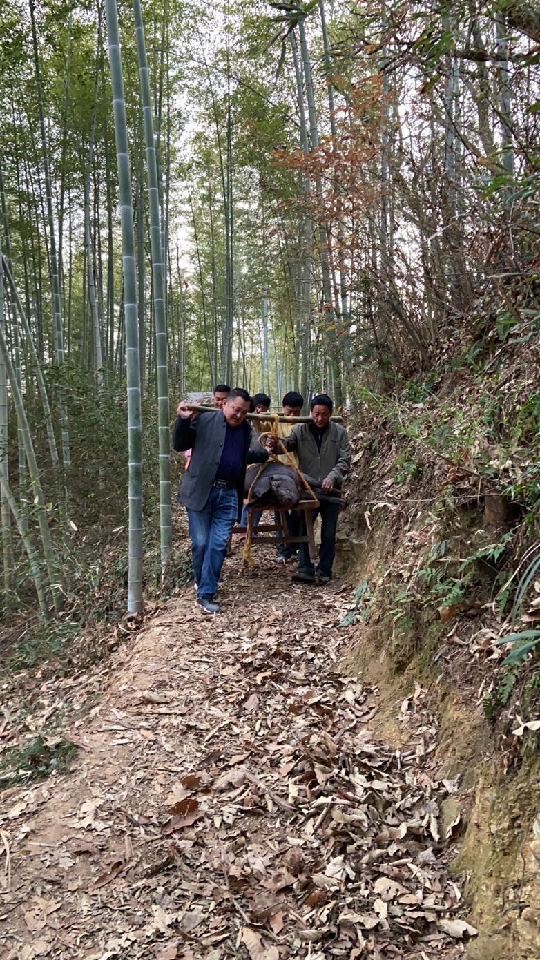 高峰乡明花村袁湾组